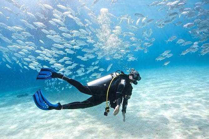 Schnuppertauchen ab Hurghada Ausflug