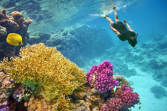 Utopia Insel Schnorchelausflug