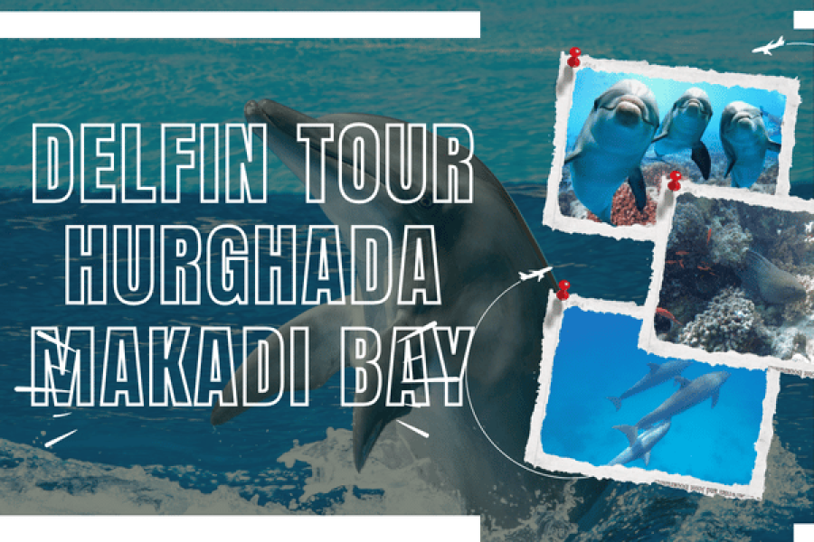 Delfin Tour Hurghada Makadi Bay – hurghada schnorcheln Schwimmen mit Delfinen und Schnorcheln an den schönsten Riffen