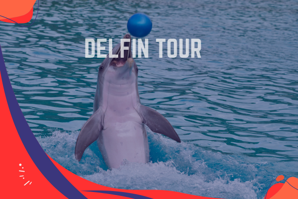 Delfin Tour Hurghada