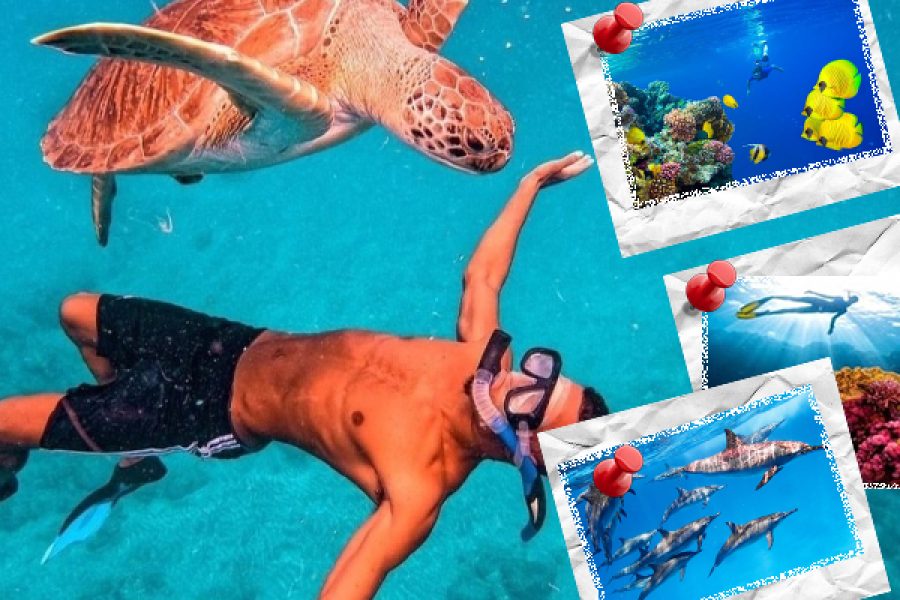 Excursie Snorkelen Marsa Alam naar Hamata-eilanden