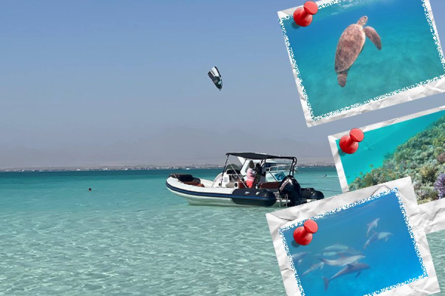 Gruppe marsa alam schnorcheln – Sataya Delfin Riff Schwimmen mit Delfinen