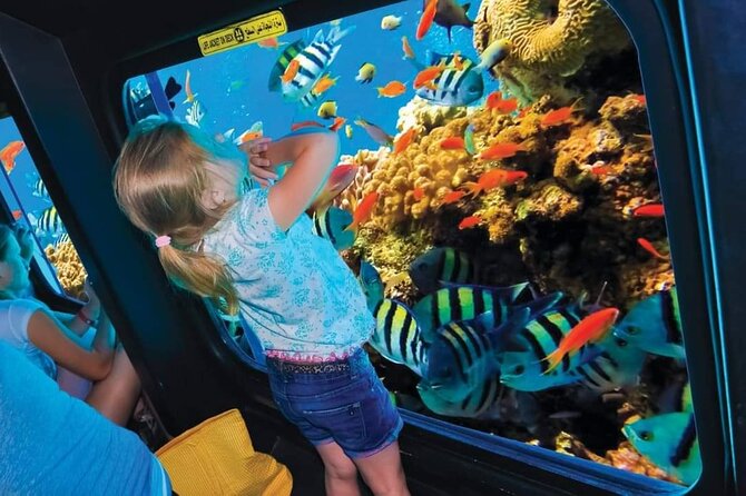 Gruppe Seascope Marsa Alam – Ausflug Glasbodenboot