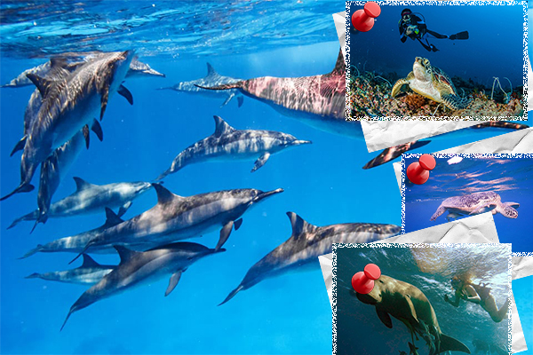 Marsa Alam Wüstentour