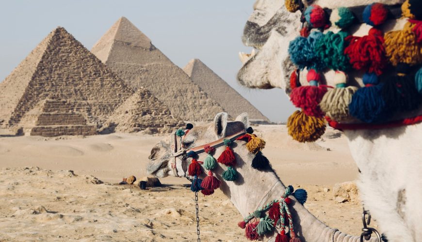 Kamelreiten Ägypten: Infos & Kosten für Ihr Abenteuer 2025